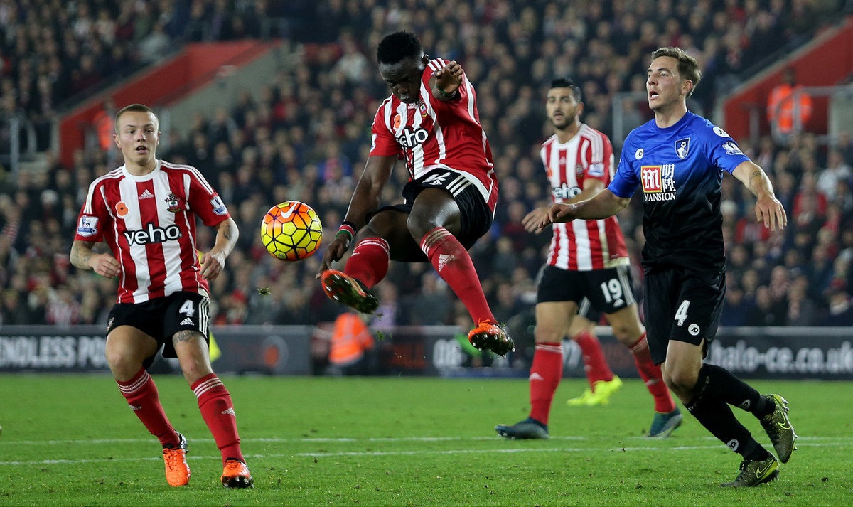 强调不仅要 强调不仅要