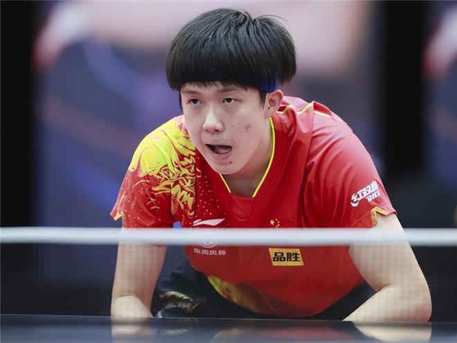 高弹支撑 高弹支撑